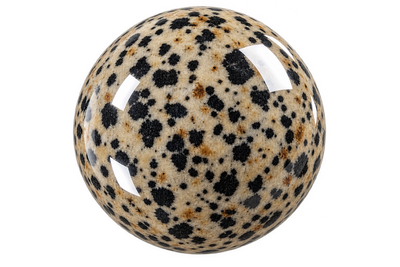 Dalmatian Jasper